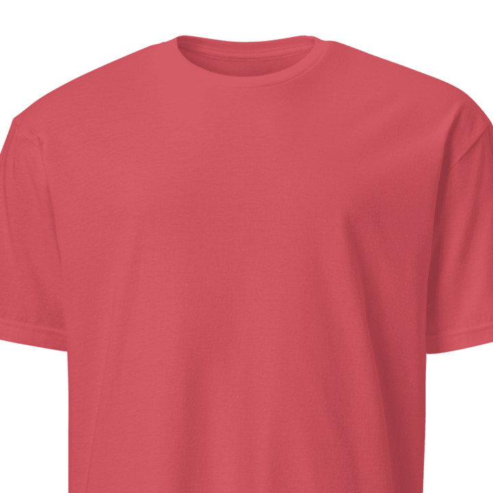 Basic Unisex Softstyle T-Shirt | Gildan 64000