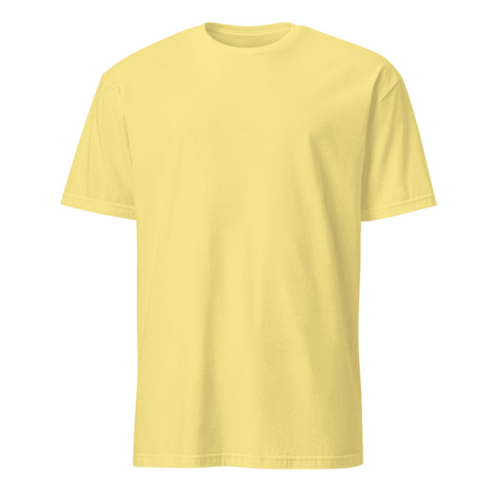 Basic Unisex Softstyle T-Shirt | Gildan 64000