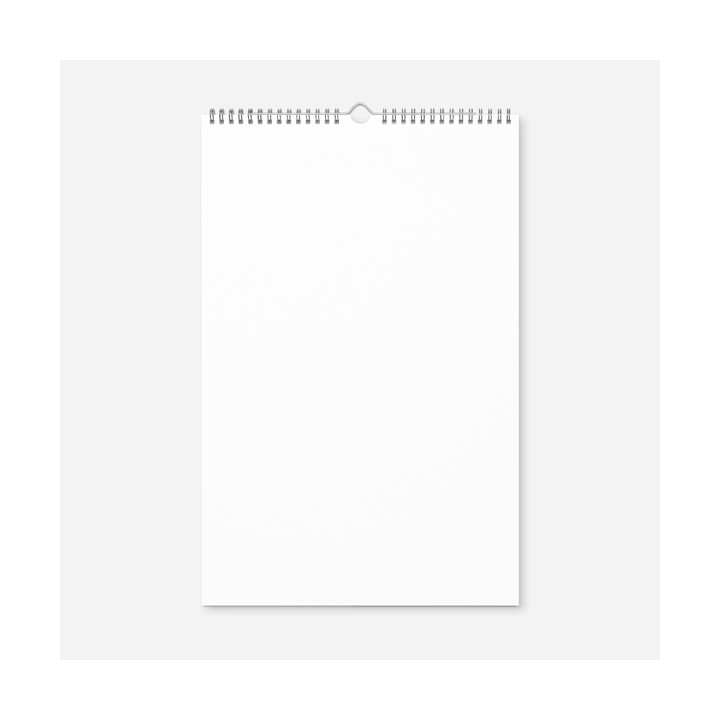 Wall Calendar (2024)