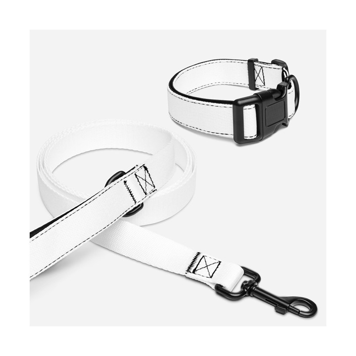Halsband und Leine für Tiere