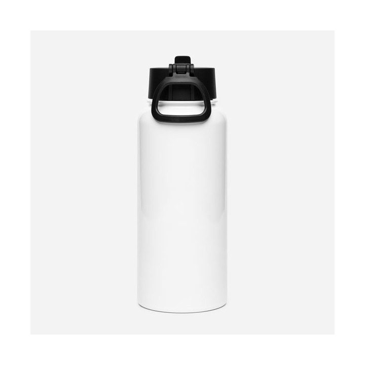 Stainless Steel Water Bottle with a Straw Lid