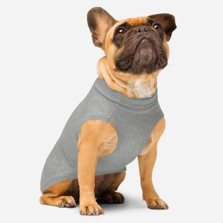 Jersey de punto para mascotas