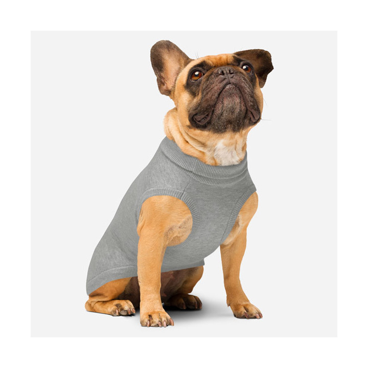 Jersey de punto para mascotas